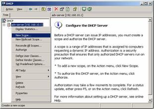 �齫��ά����Ƶ��Ƶ���麣�����ٴ�800�������ë��ϯר����(ͼ)...